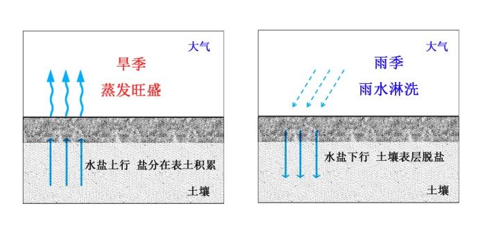 的,包括各种盐土和碱土以及其它不同程度盐碱化的各种类型土壤的统称